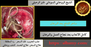 ساحر الدفع بعد البرهان