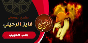 رد الحبيب عن طريق التهييج